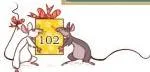 Discuss the importance of calendar in our day-to-day life.