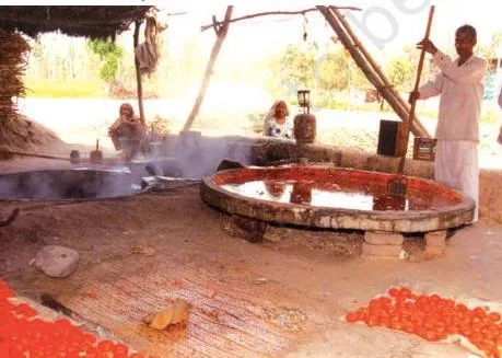 Photograph of gur making from sugarcane, an agro-processing activity that the chapter suggests locating in semi-rural areas to create employment