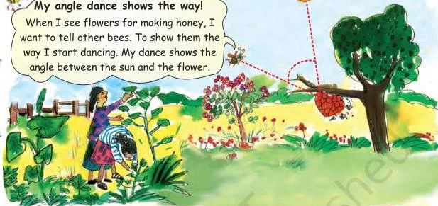 When I see flowers for making honey, I want to tell other bees.