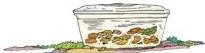 Now put all these ingredients in a half litre transparent container and close the lid.