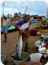 Look, Fazila can hardly carry this big kingfish!