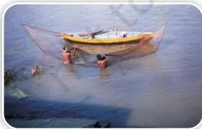 Some boats have motors and go further into the sea.