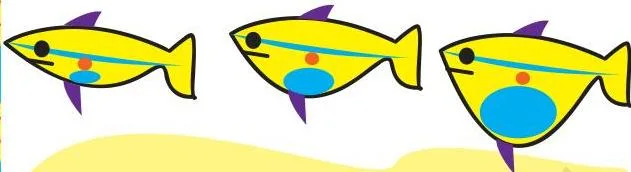 To scare away the bigger fish, some small fish drink up a lot of water, swell up and look big!