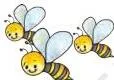 We get honey from