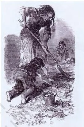 The Portuguese and Spanish conquest and colonisation of America was decisively under way by the mid-sixteenth century.