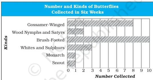 The butterfly collecting season around Reading lasts six weeks in late summer.