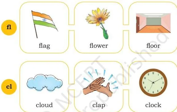 Read the words below each picture