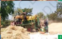 Six-panel collage of farming scenes — oxen ploughing beside a tractor, women transplanting rice by hand beside a transplanter, machine threshing, and vegetable boats on Dal Lake — the blend of traditional and modern that opens the Story of Indian Farming, Class 7.