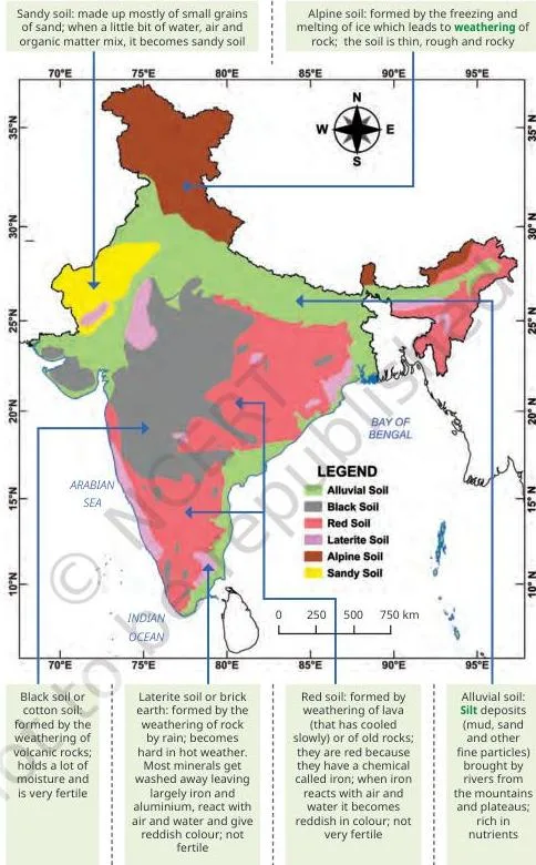 A simplified map of India shaded to show the six major soil types — alluvial, black, red, laterite, desert, and mountain or alpine soil — with a note that most regions have local variations.