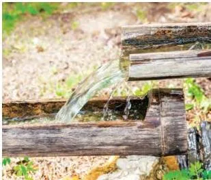 Bamboo pipes carrying spring water down to crop fields in northeast India — a traditional drip-style irrigation system.