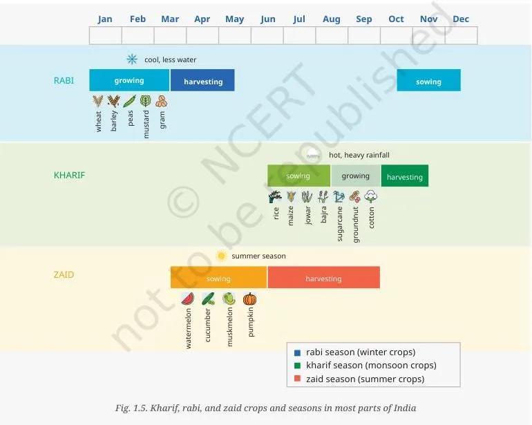 A calendar-style diagram showing the kharif, rabi and zaid cropping seasons of India with the crops typical of each season — the chapter's key image for the three-season rhythm.