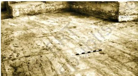 Two photographs of ploughed fields: ancient perpendicular furrows at the Harappan site of Kalibangan and the same intercropping pattern photographed in the 1960s, about 4,800 years later.