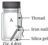 (a)