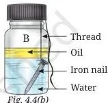 (b)