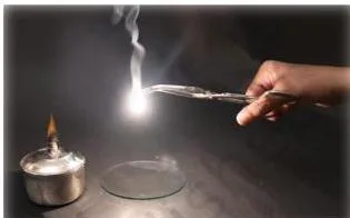 Burning magnesium ribbon