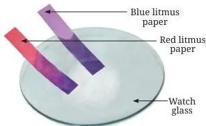 Testing the nature of magnesium oxide