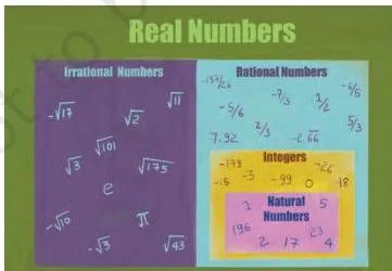 The World of Numbers class 9: real numbers formed by rational and irrational numbers on one line