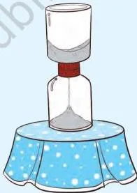 Attach the second bottle on the other side of the joined caps.