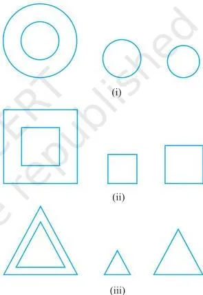 Can a triangle and a square be similar? These questions can be answered by just looking at the figures (see Fig. 6.1).
