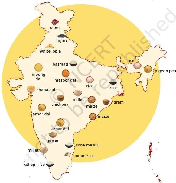 A few examples of cereals and pulses from different regions of India