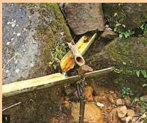 Bamboo pipes diverting water from a hilltop spring to lower fields by gravity in Meghalaya