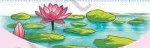 Grow along the edges of ponds, tall and grass-like.