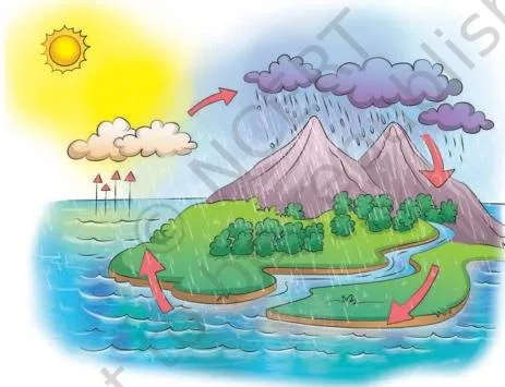 This constant circular movement of water in nature is called the water cycle.