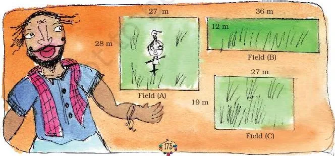 Karunya the landlord looking over three fields of different sizes, the scene for finding area and cost at a rate per square metre