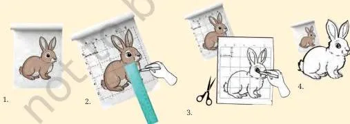 A rabbit drawn with the graph-paper method, with tracing paper and chart paper showing how a drawing is scaled up