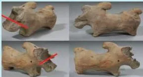 A small excavated clay figure of a bull whose head is missing, with grooves where a string could have moved it