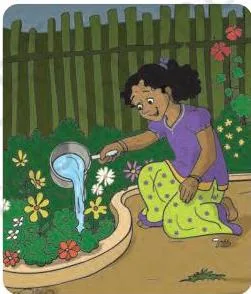 Leftover water from washing vegetables being poured onto plants in a kitchen garden, the simplest reuse of greywater at home