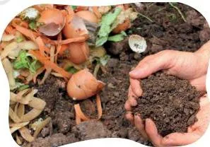 Dark, crumbly, ready-to-use vermicompost made from leftover food scraps by earthworms over a few months