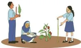 A student writing observations of growing plants in a diary, the weekly record of height, leaves and flowers