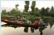 A floating farm on Dal Lake in Srinagar where plants grow on the water surface, an ancient Indian farming method the chapter links to hydroponics