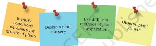 Developing a plant nursery in the school