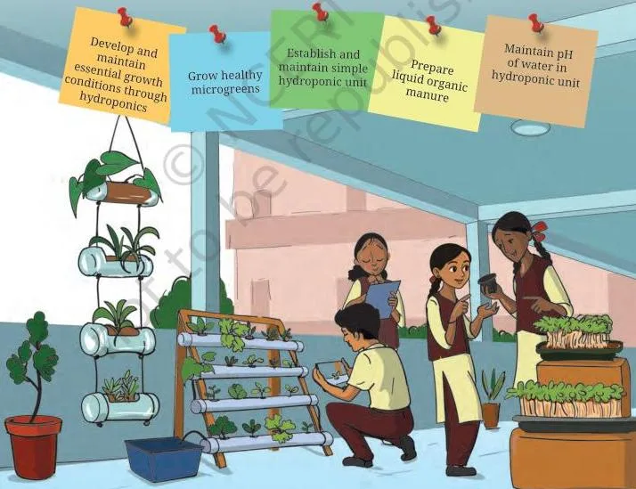 A home-built hydroponic unit with plants growing in water-filled recycled containers instead of soil, the do-it-yourself scale of the Work with Life Forms Class 8 project