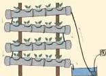 Plants growing in net pots along tilted PVC pipes with a thin film of nutrient water flowing through, the NFT hydroponic system