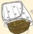Step 3: Uniformly moisten the soil by adding water.