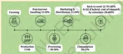 Diagram of the value chain in agriculture showing the cost of produce rising through post-harvest handling, processing and later steps