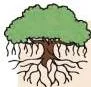 You may have prepared organic fertilisers and pesticides in the Middle Stage.