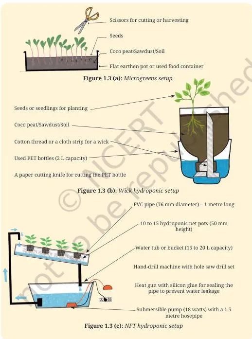You will need different equipment and materials for various methods of hydroponics, as listed in Figure 1.3 given below.