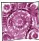 An eight-step flowchart of tie and dye, from selecting and washing fabric through tying, dyeing, drying and untying