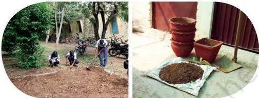Plant beds (left) and pots (right) for the kitchen garden